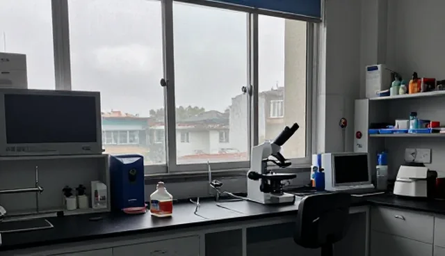 实施交付中常见问题及处理方向,团队协作优化建议